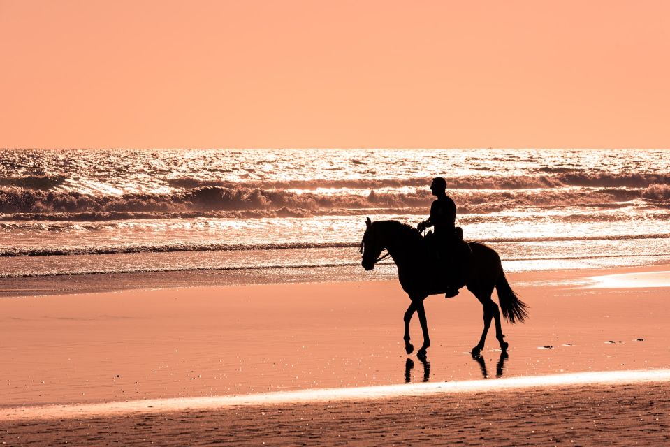 Horse Riding in Port City - Benefits of the Activity
