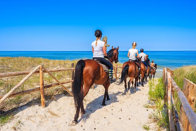 Horse Riding Morning Ride in Paros - Useful Attire and Group Size
