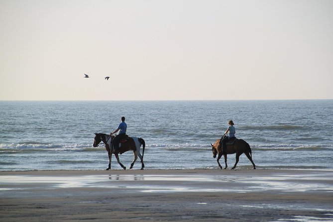 Horse Riding on the Beach, Rhodes - Reviews and Booking Information