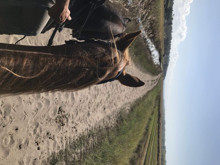 Horse Riding on the Beach With Private Transfer From Lisbon - Melides Horse Riding