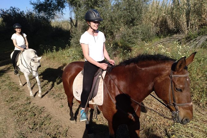 Horse-Riding Tour From Seville (Mar ) - Booking and Additional Information