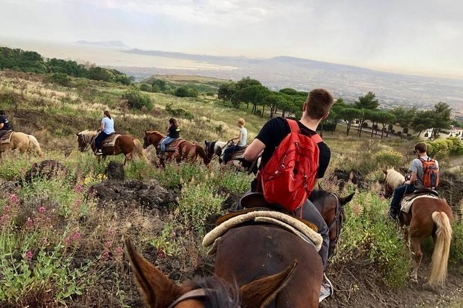 Horse Riding Tour, Naples - Tour Highlights and Activities