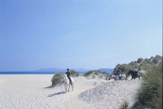Horseback Riding Beach Excursion in County Mayo (Mar ) - Booking Expectations and Restrictions