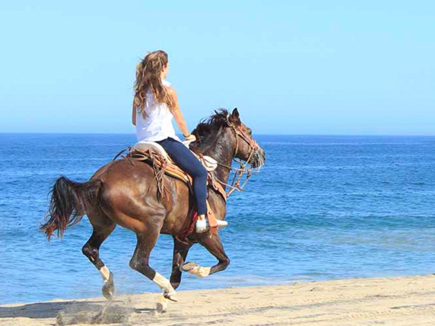Horseback Riding in Boavista - Last Words