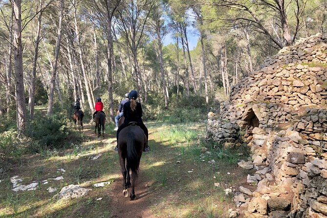 Horseback Riding in Cala Mitjana, Menorca, Spain - Cancellation Policy
