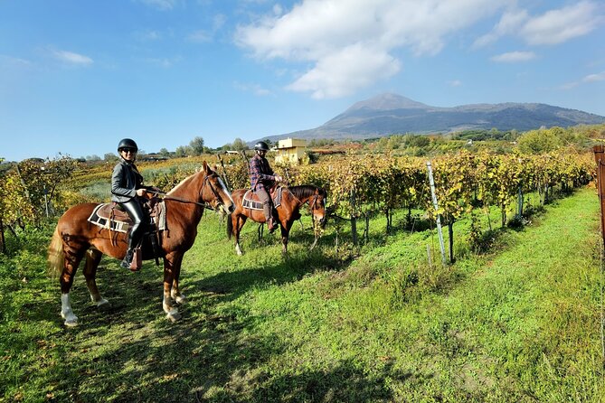 Horseback Riding on Vesuvius - Convenient Meeting Point Details