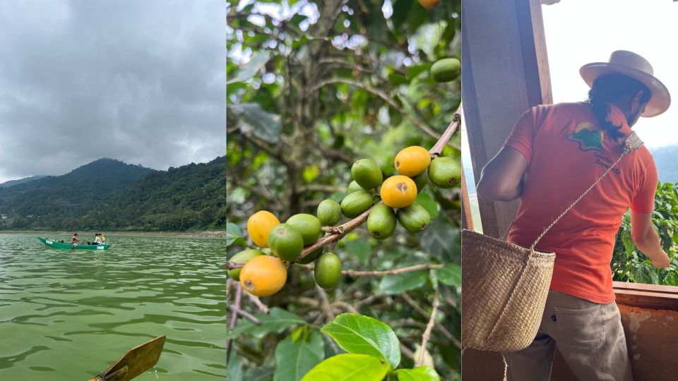 Huauchinango: City Tour, Necaxa Dam and Coffee Plantations - Local Coffee Plantations Exploration