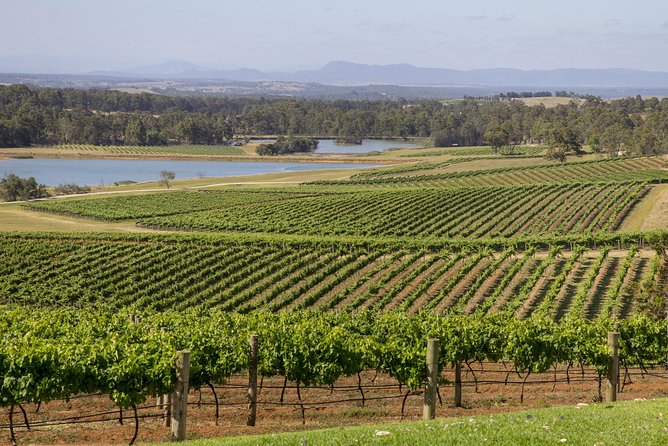 Hunter Valley Wine Tour From Sydney With Lunch and 3 Cellar Door Tastings - Last Words