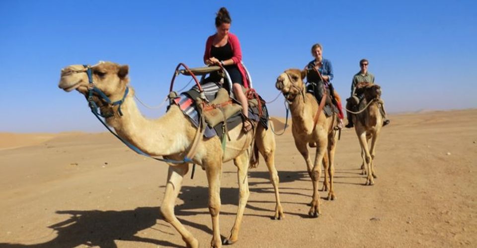 Hurghada: ATV Quad, Camel Ride, and Bedouin Village Trip - Customer Reviews