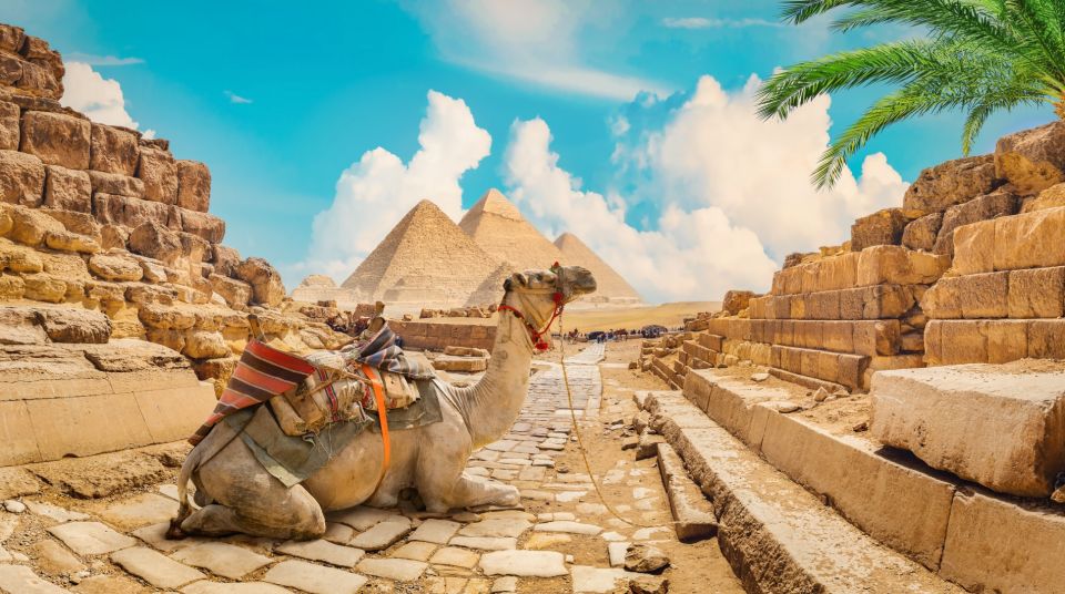 Hurghada: Cairo and Giza Highlights Tour With BBQ Lunch - Tour Inclusions and Options