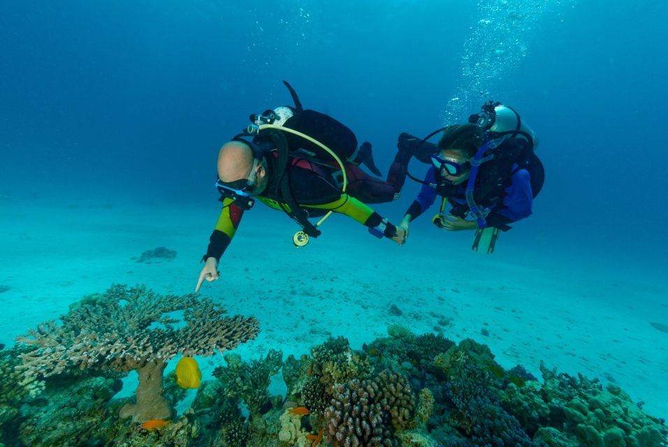 Hurghada: Diving and Snorkeling Tour With Transfers - Full Experience Description