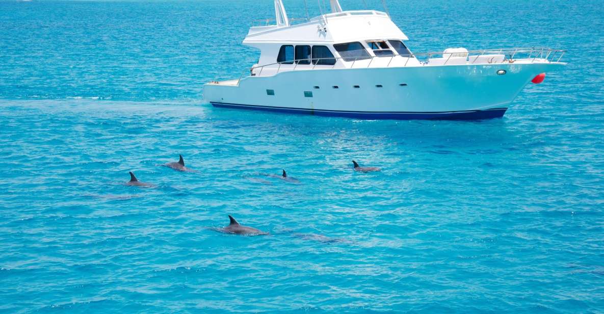 Hurghada: Dolphin Watching Private Yacht & Island Tour - Review Summary - Transportation