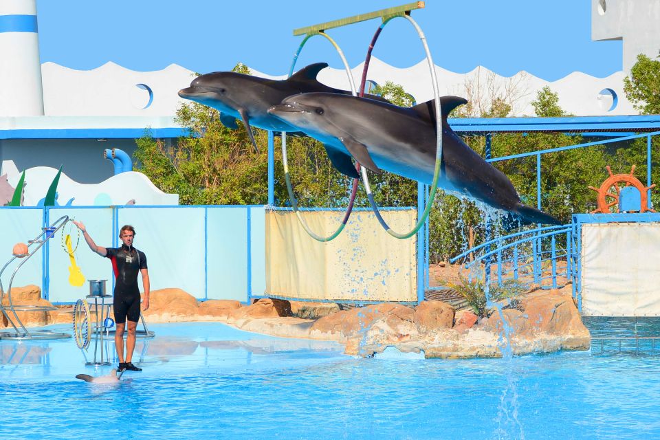 Hurghada: Dolphin World Show With Walruses and Pickup - Customer Reviews
