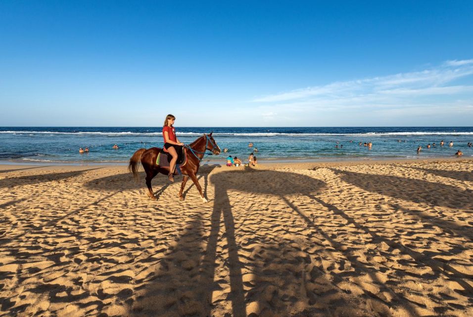 Hurghada: Horse Ride Along the Sea & Desert With Transfers - Customer Reviews and Satisfaction Insights