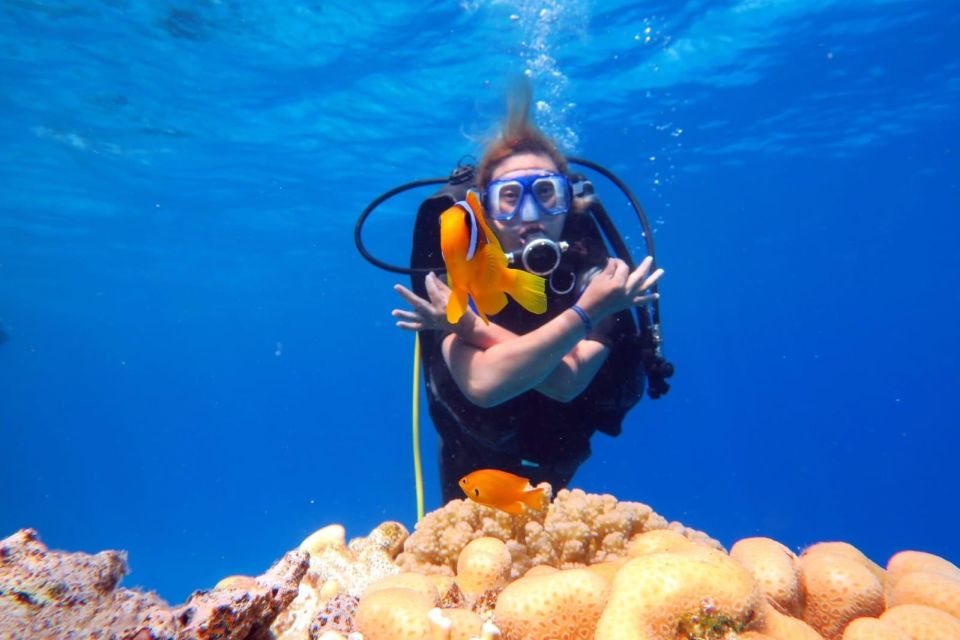 Hurghada: Intro Diving & Snorkeling Tour With Lunch & Drinks - Flexible Payment Options