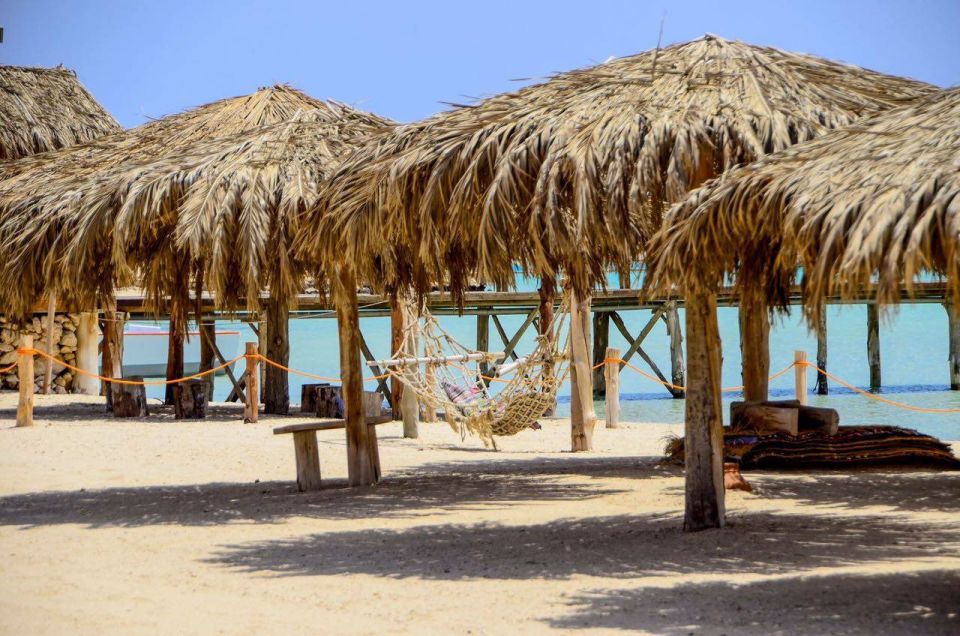 Hurghada: Orange Island, Grand Safari, Dolphin House Package - Additional Information