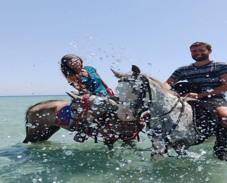 Hurghada: Red Sea & Desert Horse Riding Tour With Swimming - Customer Reviews