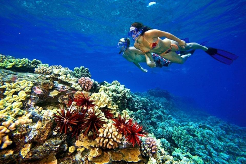 Hurghada: Red Sea Snorkeling Day Tour With Lunch and Yacht - Review Summary and Customer Feedback