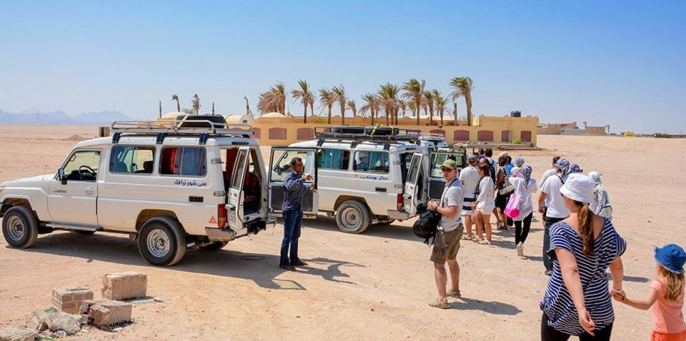 Hurghada: Safari Jeep, Buggy, Camel, Quad, Bedouin Dinner - Customer Feedback