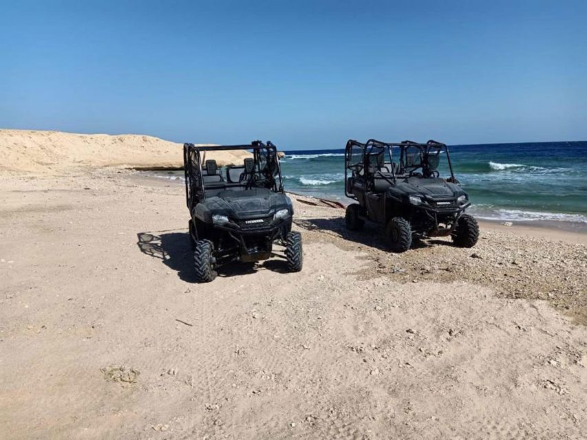 Hurghada: Sea and Mountains Quad or Buggy Family Tour - Itinerary Details