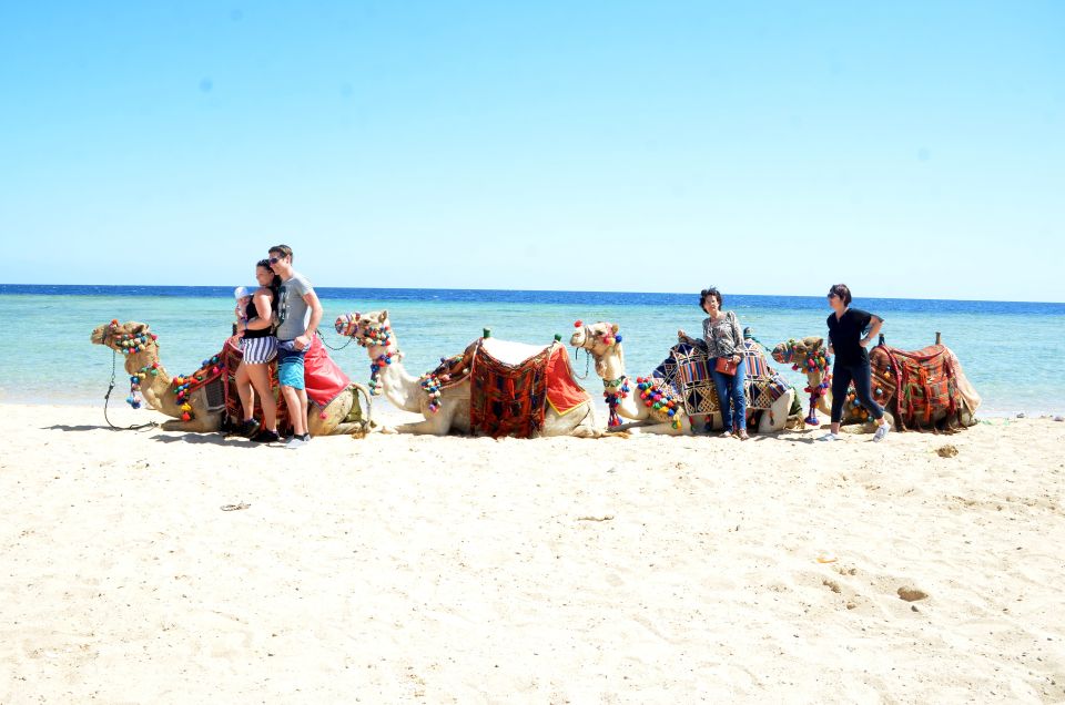 Hurghada: Sea & Desert Camel Ride W/Dinner, Show, Stargazing - Review Ratings