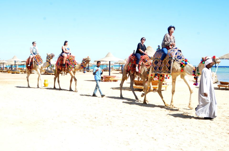 Hurghada: Sea & Desert Camel Ride W/Dinner, Show, Stargazing - Tour Description