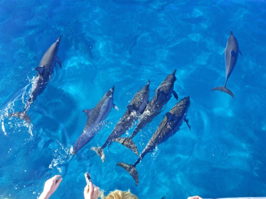 Hurghada: Snorkeling Trip & Parasailing With Lunch & Drinks - Customer Reviews