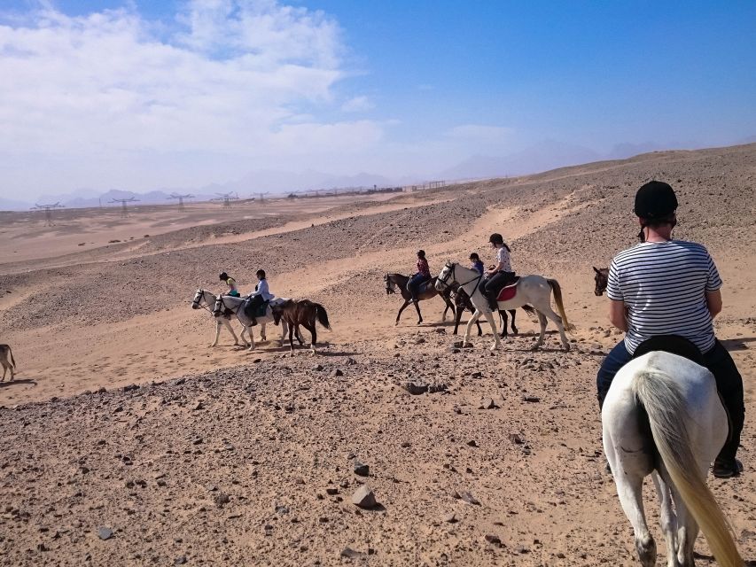 Hurghada: Sunrise Sea & Desert Horse Ride W Opt Breakfast - Additional Information