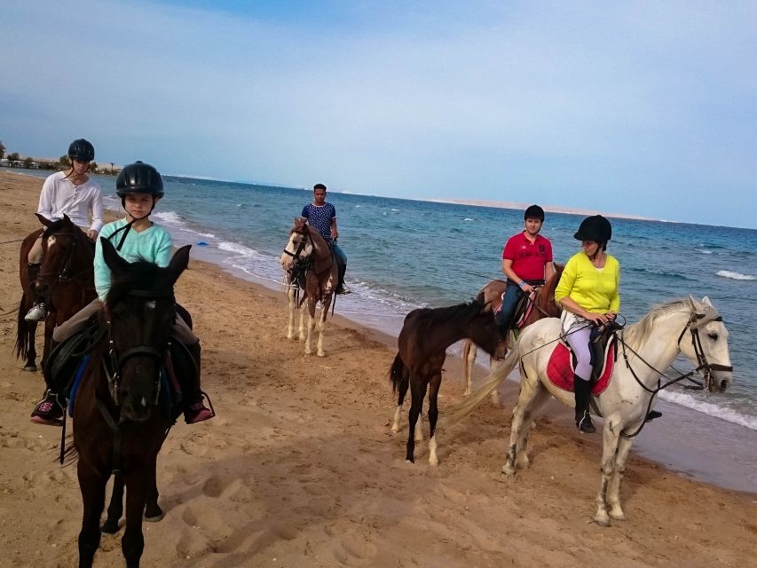 Hurghada: Sunrise Sea & Desert Horse Ride W Opt Breakfast - Transportation Details