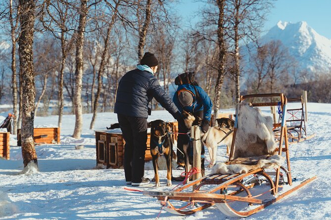 Husky Experience and Dog Sled Driving - Morning Tour - Last Words