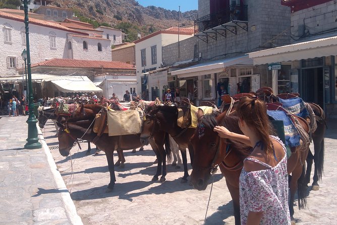 Hydra Island Day Tour With Your Private Guide in the Most Cosmopolitan Island - Travel Tips