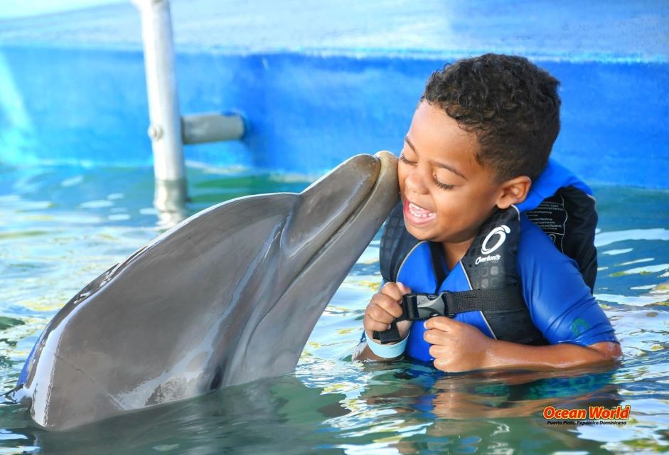 I Want a VIP Swim With Dolphins at Ocean World Puerto Plata - Inclusions and Activities