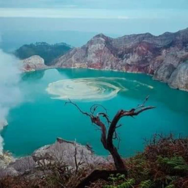 Ijen Adventure : Ijen Crater Blue Fired Sunrise Hike - Return Details