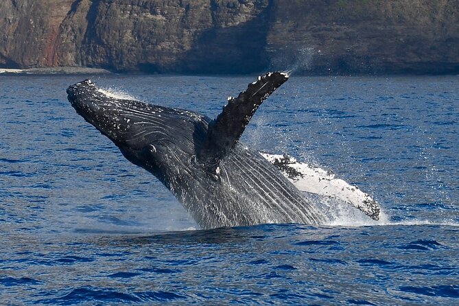 IMILOA - Express Na Pali Sunset Tour - Memorable Experiences