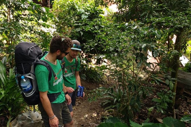 Inca Jungle Trail to Machu Picchu in 4 Days - Booking Information