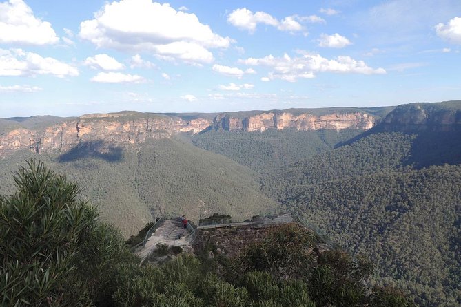 Inside the Greater Blue Mountains World Heritage - A Private Wildlife Safari Overnight - Customer Reviews