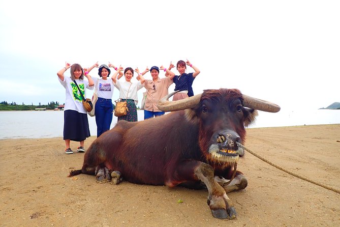 [Iriomote]Sup/Canoe Tour Sightseeing in Yubujima Island - Reviews