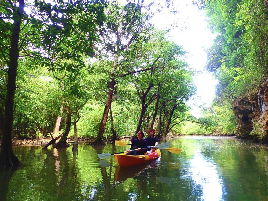 Ishigaki Island: 2-Hour Miyara River Kayaking Tour - Instructor Details