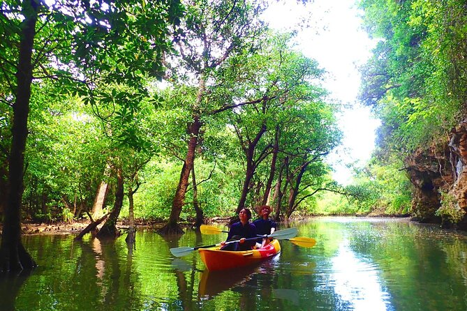 [Ishigaki]Mangrove SUP/Canoe Blue Cave Snorkeling - Cancellation Policy