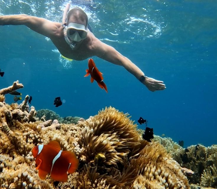 Island Hopping Gili Asahan, Gede, Rengit, Layar & Goleng - Importance of Checking Updates