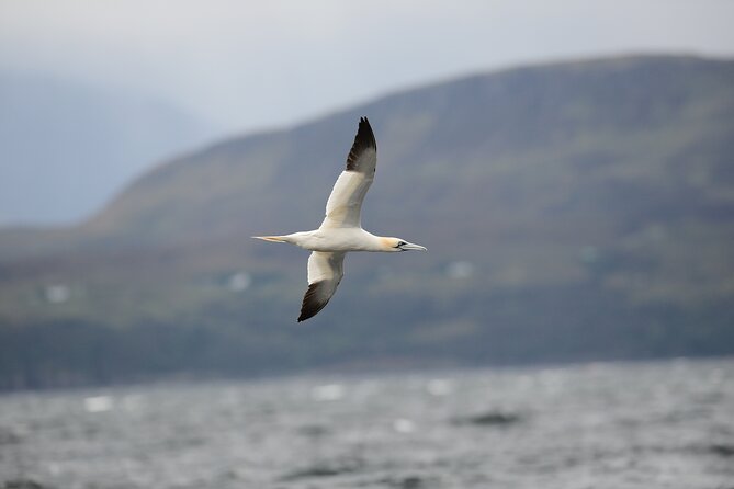 Isle of Sky Wildlife Photography Experience (Mar ) - Additional Information