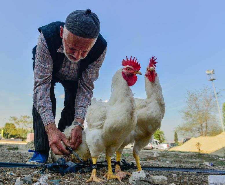 Istanbul: Photography Tour With a Professional Photographer - Participant Selection Process