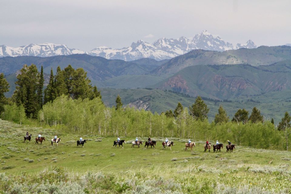 Jackson Hole: Teton View Guided Horseback Ride With Lunch - What to Expect
