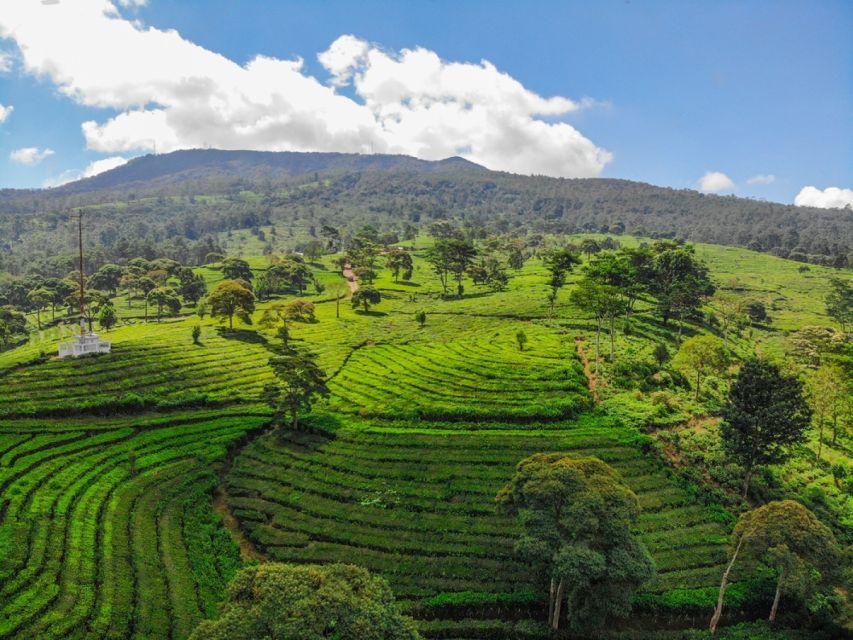 Jakarta: Bandung Volcano Day Tour - Logistics and Practical Information