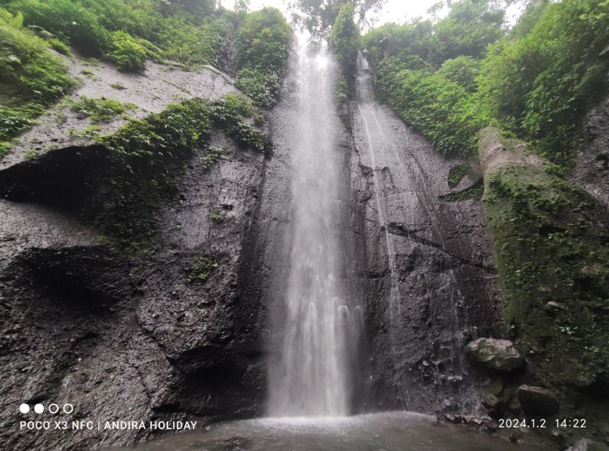 Jakarta : Botanical Garden, Waterfalls, and Rice Fields Tour - Rice Fields Exploration Experience