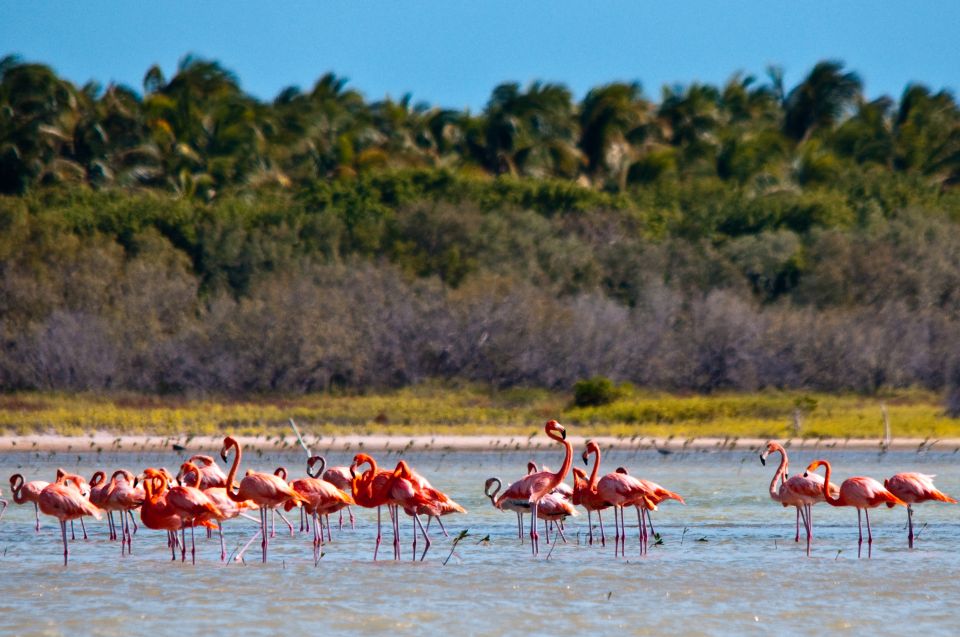 Jaragua National Park: Explore Laguna De Oviedo - Directions to Jaragua National Park