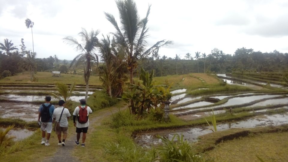 Jatiluwih Off-The-Beaten Path Trek With Lunch - Immerse in Local Village Culture