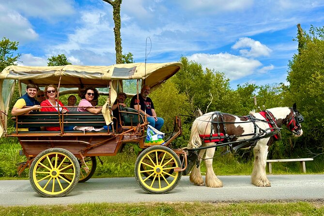 Jaunting Car Tour in Killarney National Park - Cancellation Policy