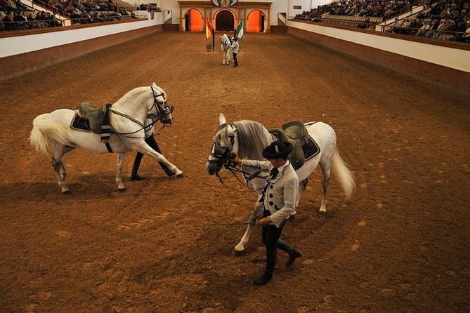 Jerez & Cadiz Winery With Tasting & Opt Horse Show From Seville - Equestrian Performance Highlight