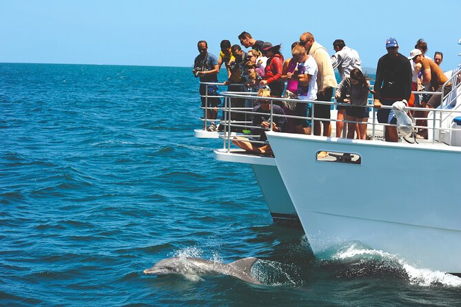 Jervis Bay Boom Netting and Dolphins Tour - Additional Information